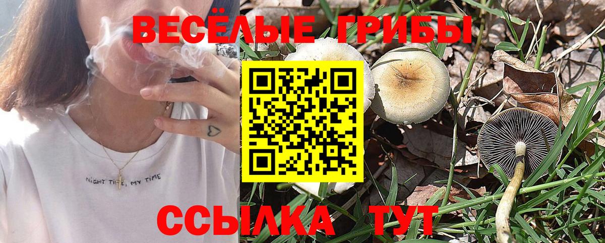 NBOMe  Cocaine  Вход с VPN  Метамфетамин  Азов  МАРИХУАНА  Меф МЯУ МЯУ кристаллы  APVP СК   ГАШ 