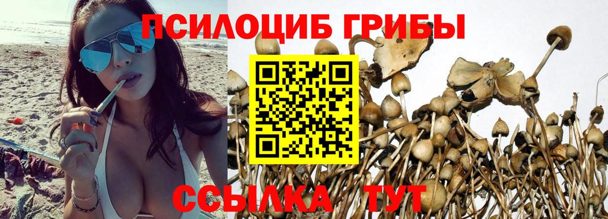 наркошоп  Вход с VPN  Азов  Псилоцибиновые грибы Magic Shrooms 